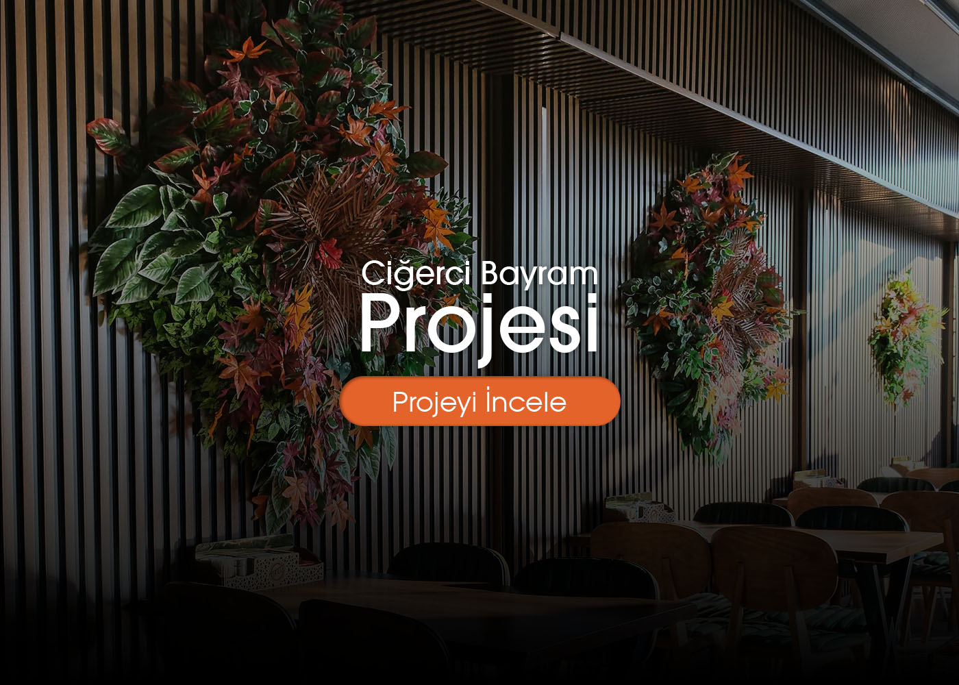 Ciğerci Bayram Projesi